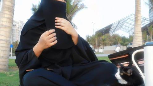 娱乐吃瓜君变形记